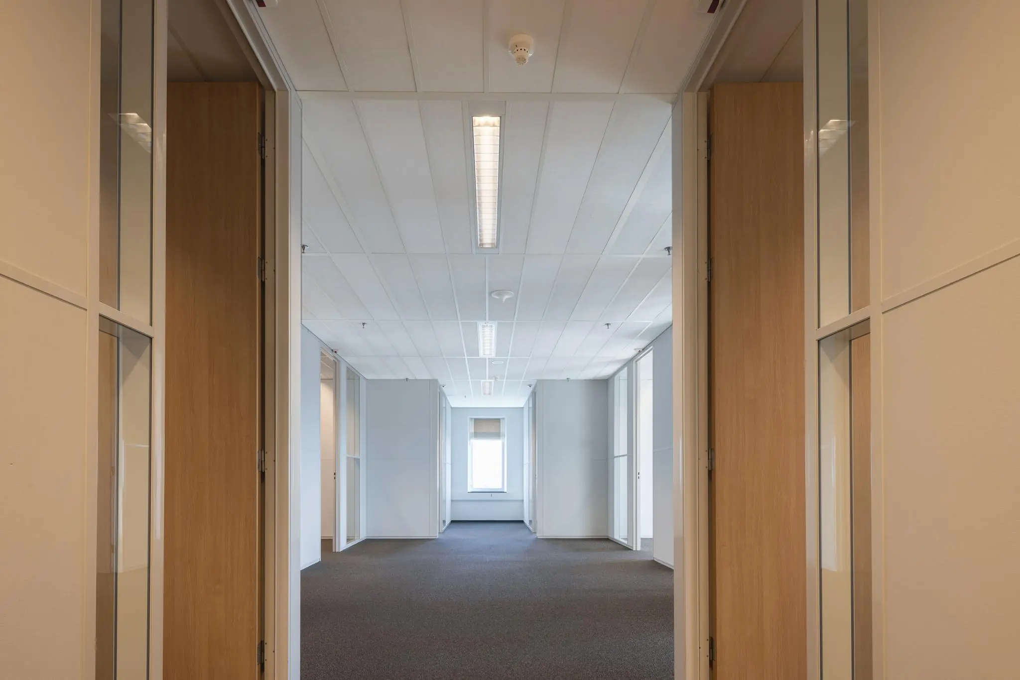 Leeg kantoorpand aan de Prinses Beatrixlaan met systeemplafond, tapijtvloer en glazen scheidingswanden.